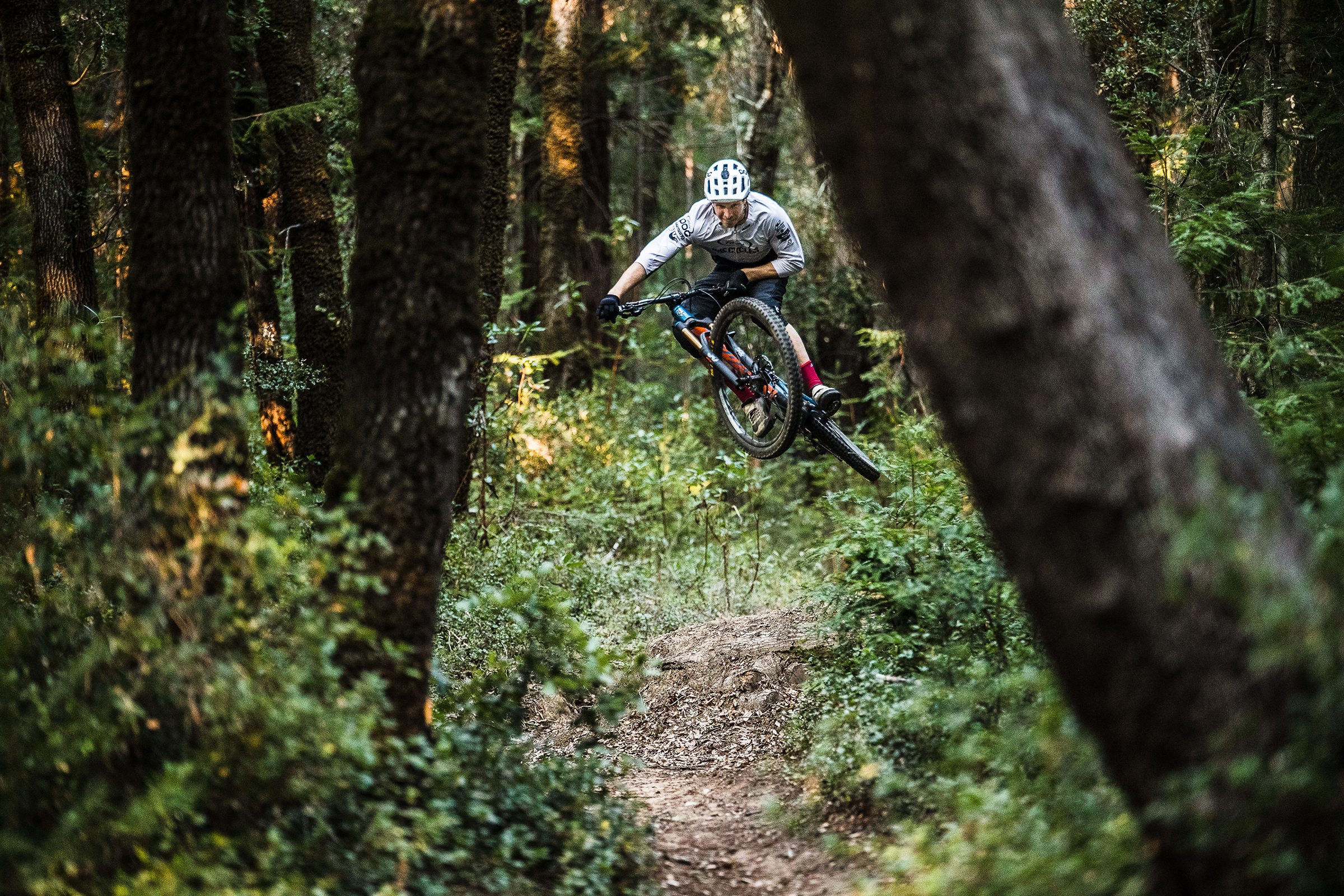 ibis ripmo craigslist